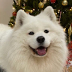 Meet your Posher, Depressed